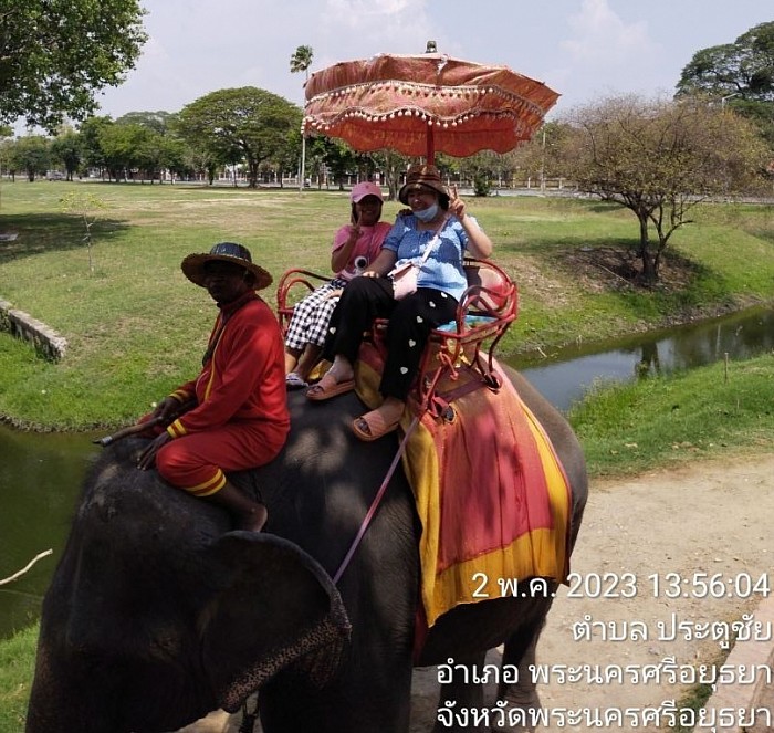 ขี่ช้างชมเมืองในจังหวัดอยุธยา